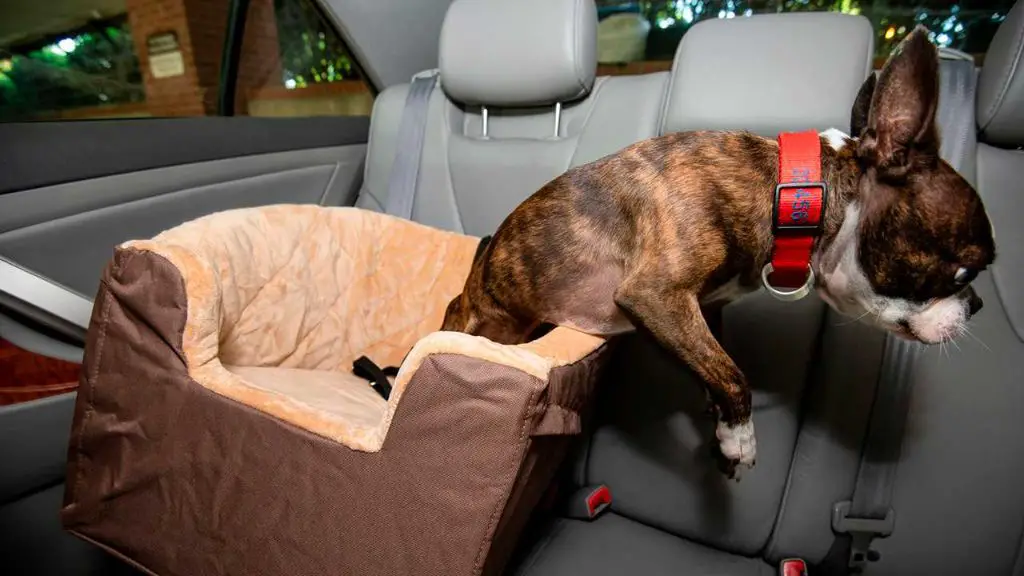 a booster style dog car seat attached via seatbelt in a vehicle