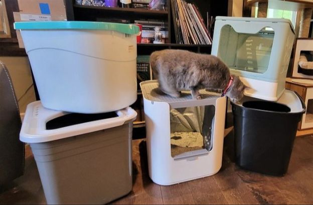 a cat entering a litter box through a small opening.