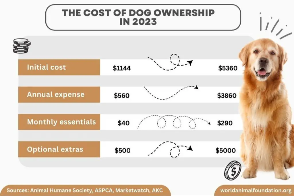 a checklist of recurring dog ownership costs like food, vet bills, and supplies.