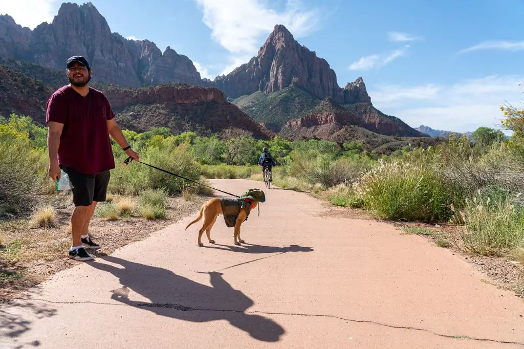 a child asking to pet a service dog in zion national park