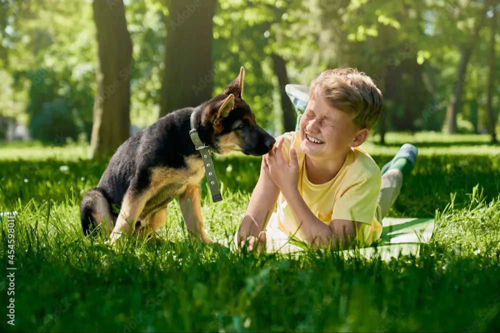 a child playing joyfully with a dog