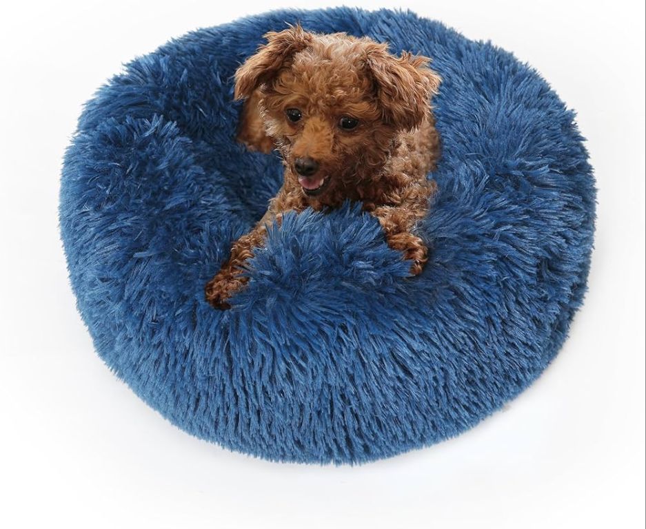 a clean, fluffy dog bed