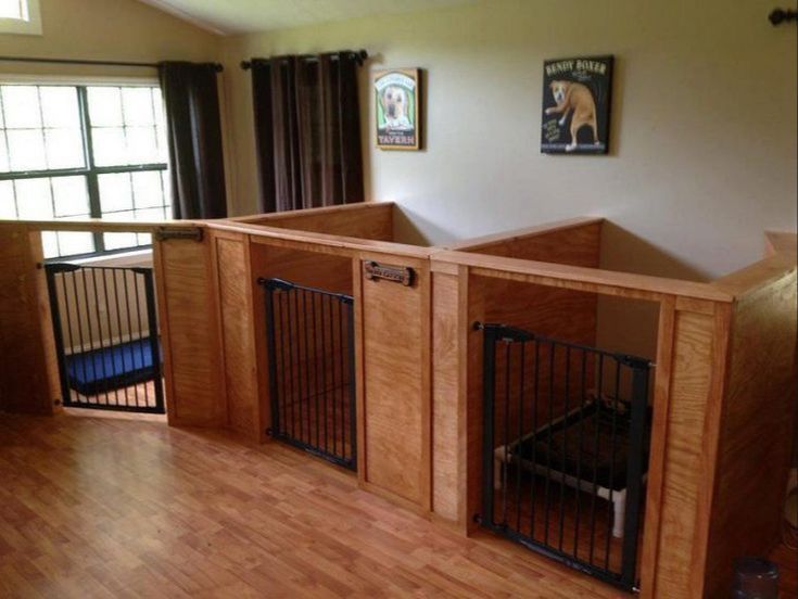 a cozy looking indoor dog boarding facility