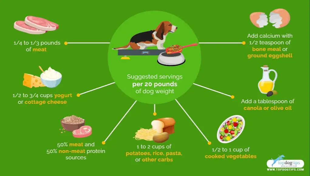 a diagram showing proper food safety guidelines for homemade dog food