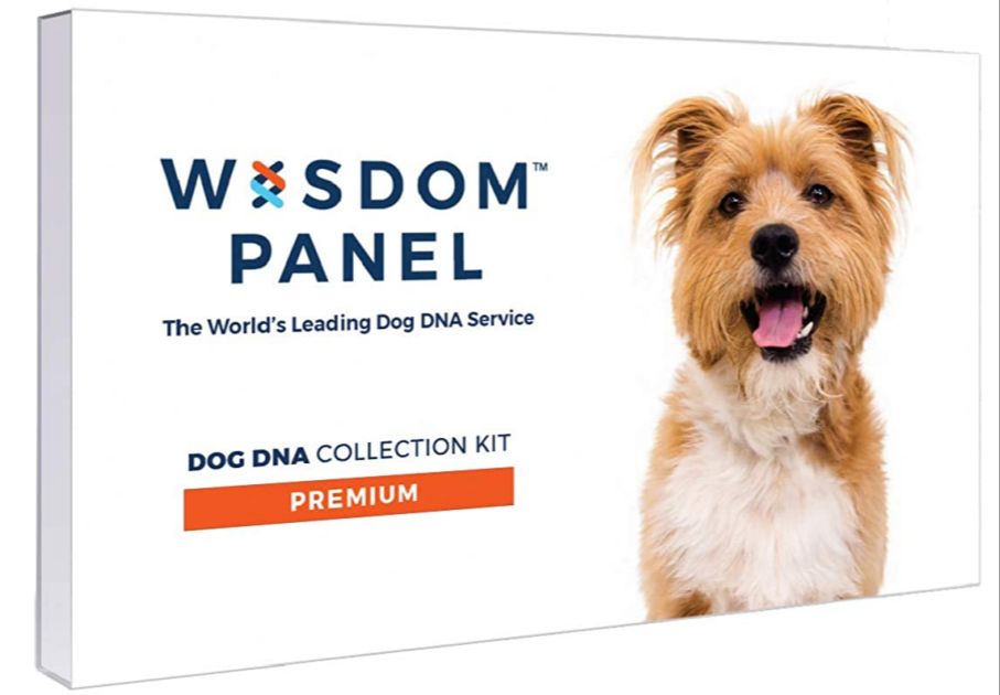 a dna test kit for dogs.
