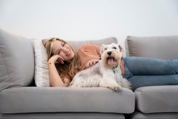 a dog and owner relaxing on a couch