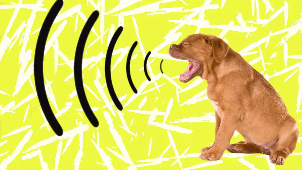 a dog barking with sound waves coming from its mouth