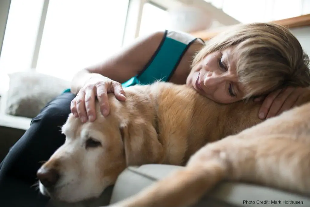 a dog being comforted