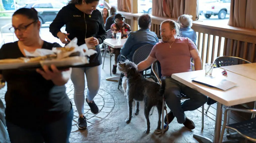 a dog being given a treat at an outdoor restaurant