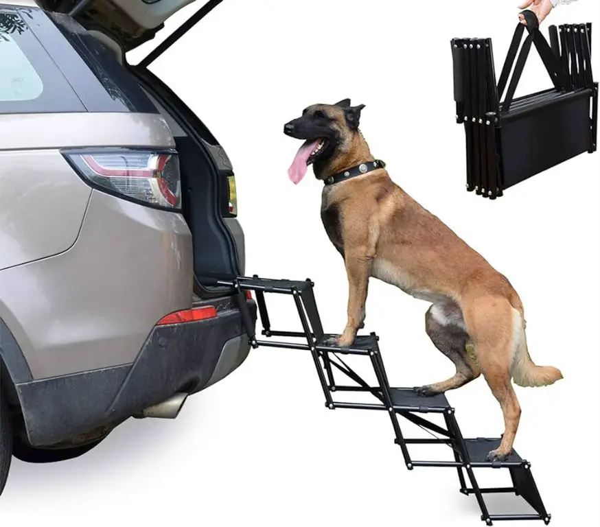 a dog climbing pet stairs into a car