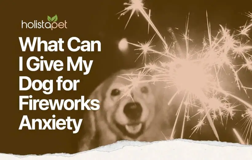 a dog cowering from fireworks exploding overhead