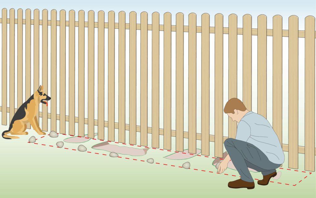 a dog digging under a wired fence boundary