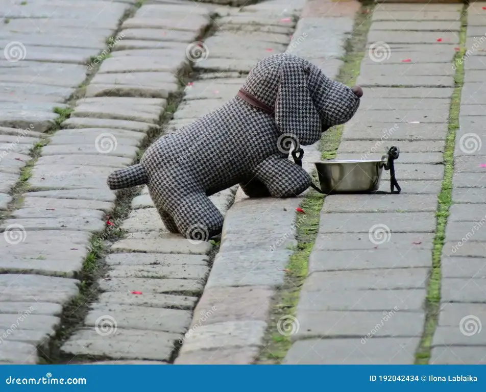 a dog drinking from a water bowl on a sidewalk.