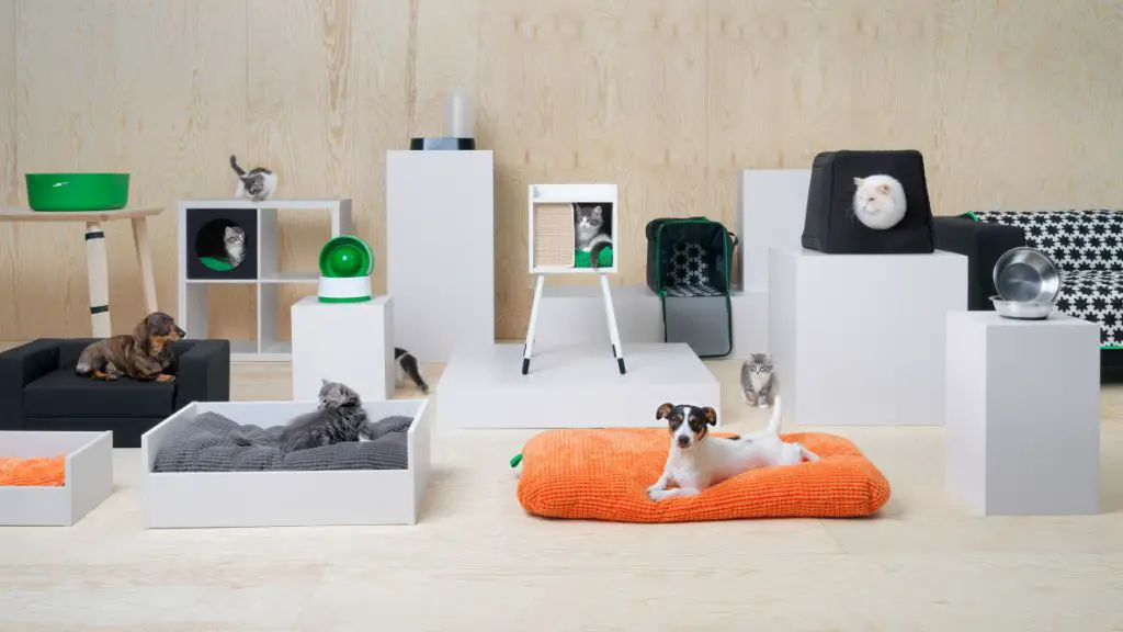 a dog drinking water from a bowl inside an ikea store