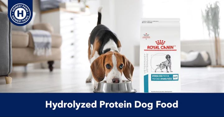 a dog eating prescription hydrolyzed protein dog food