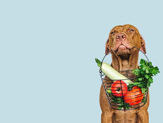 a dog eating veggie-filled food