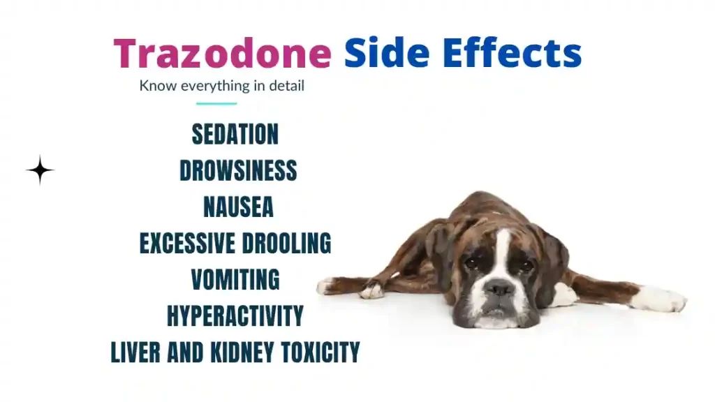 a dog experiencing vomiting as a side effect of trazodone