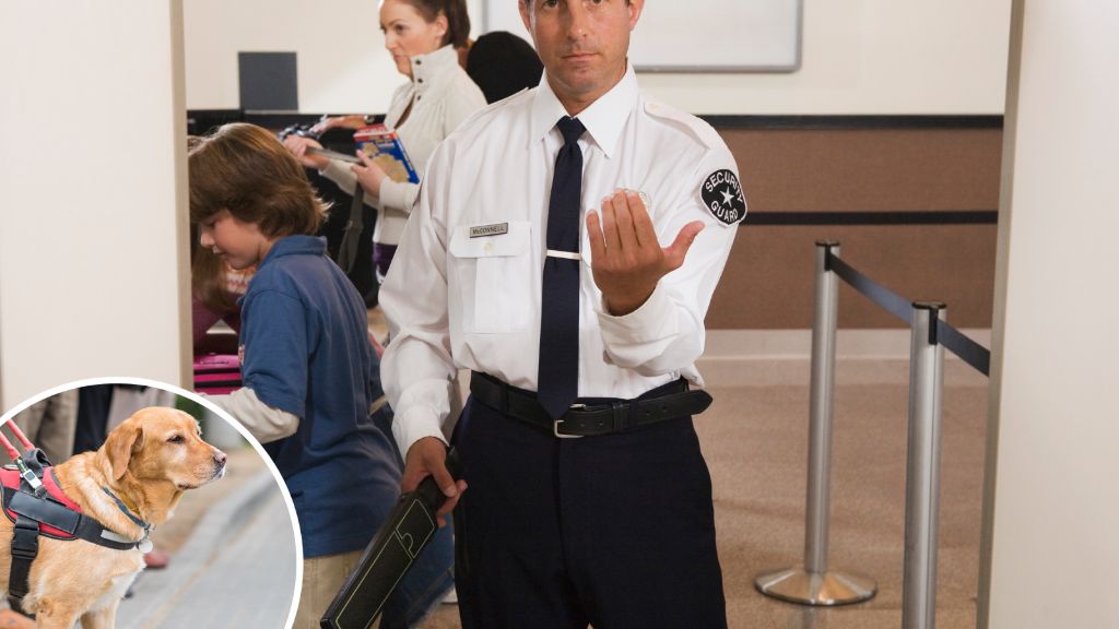 a dog going through airport security screening in owner's arms