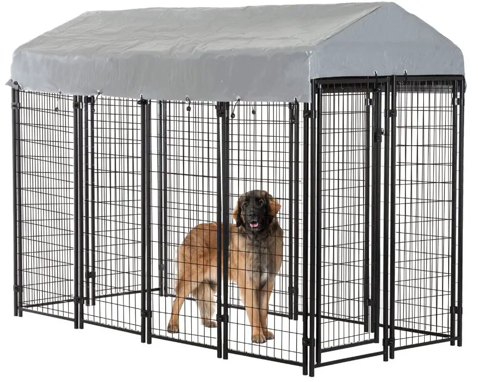 a dog happily resting in an outdoor kennel made of black metal fencing and a concrete floor.