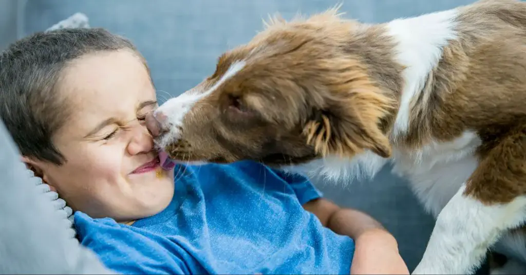 a dog licking a person's face