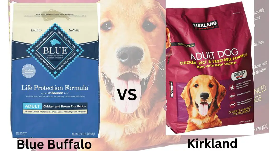 a dog owner comparing ingredients on a kirkland and blue buffalo dog food bag.