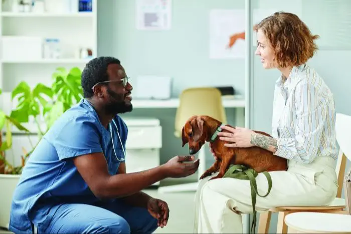 a dog owner consulting a veterinarian about dog food options