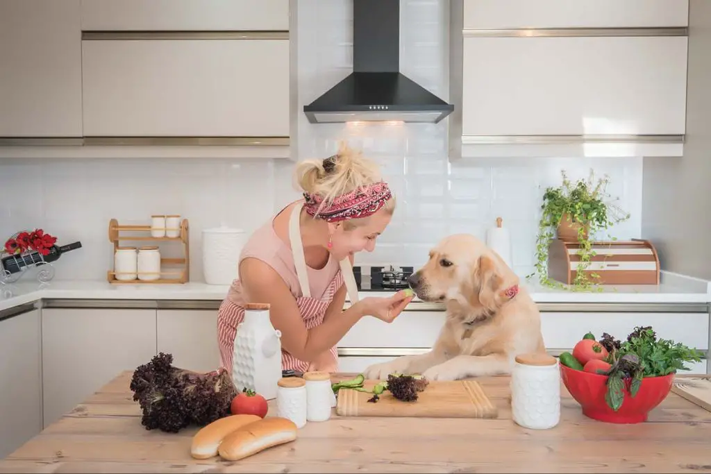 a dog owner preparing homemade dog food in the kitchen