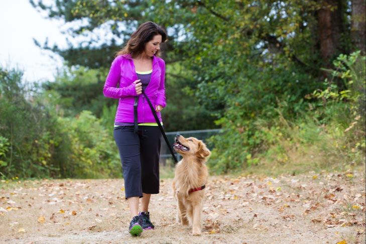 a dog owner rewarding their pet with treats for listening to the 'leave it' command and ignoring a fox.