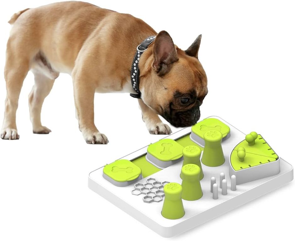 a dog playing with a food puzzle toy.