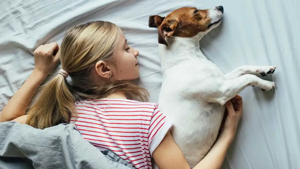 a dog providing companionship for someone feeling lonely