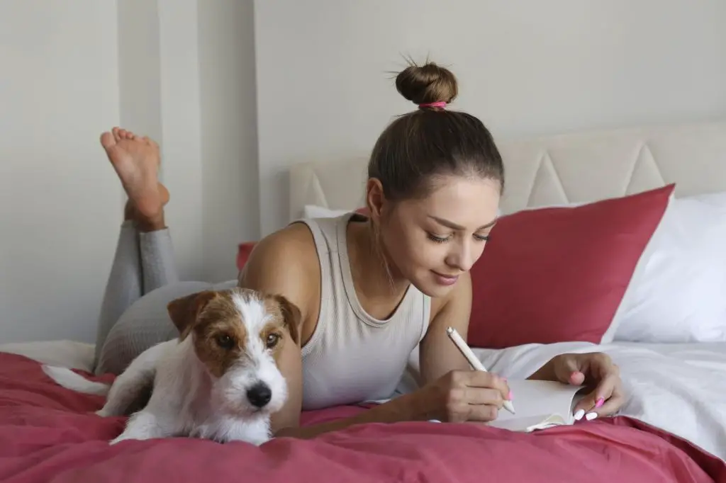 a dog relaxes on a dog bed at home while their owner is out.