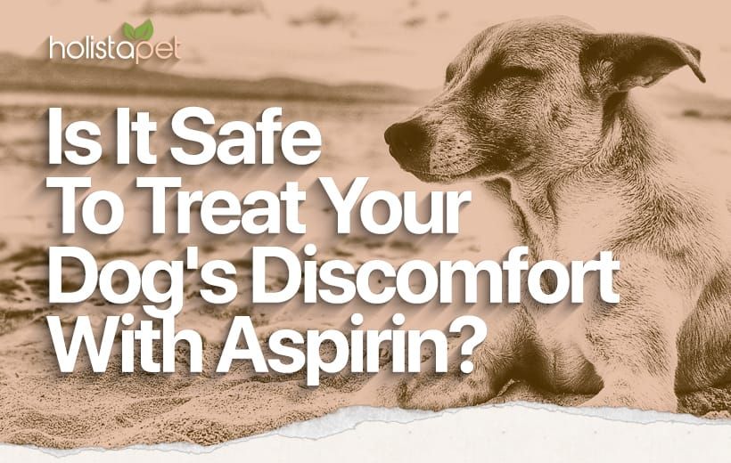 a dog showing signs of aspirin toxicity