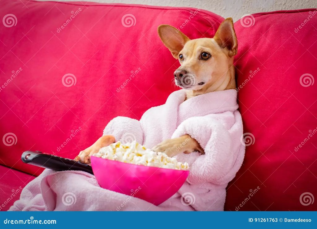 a dog watching a movie