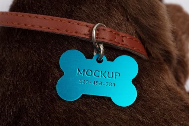 a dog's collar with name tag