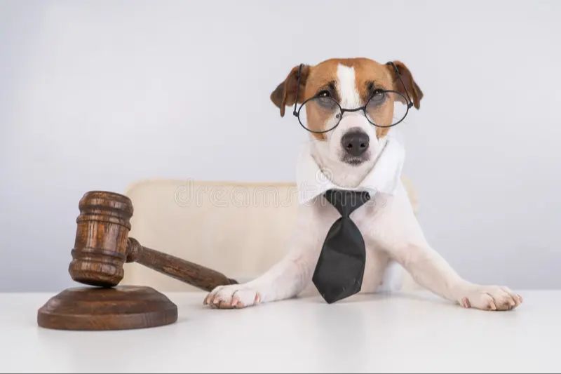 a gavel in a courtroom