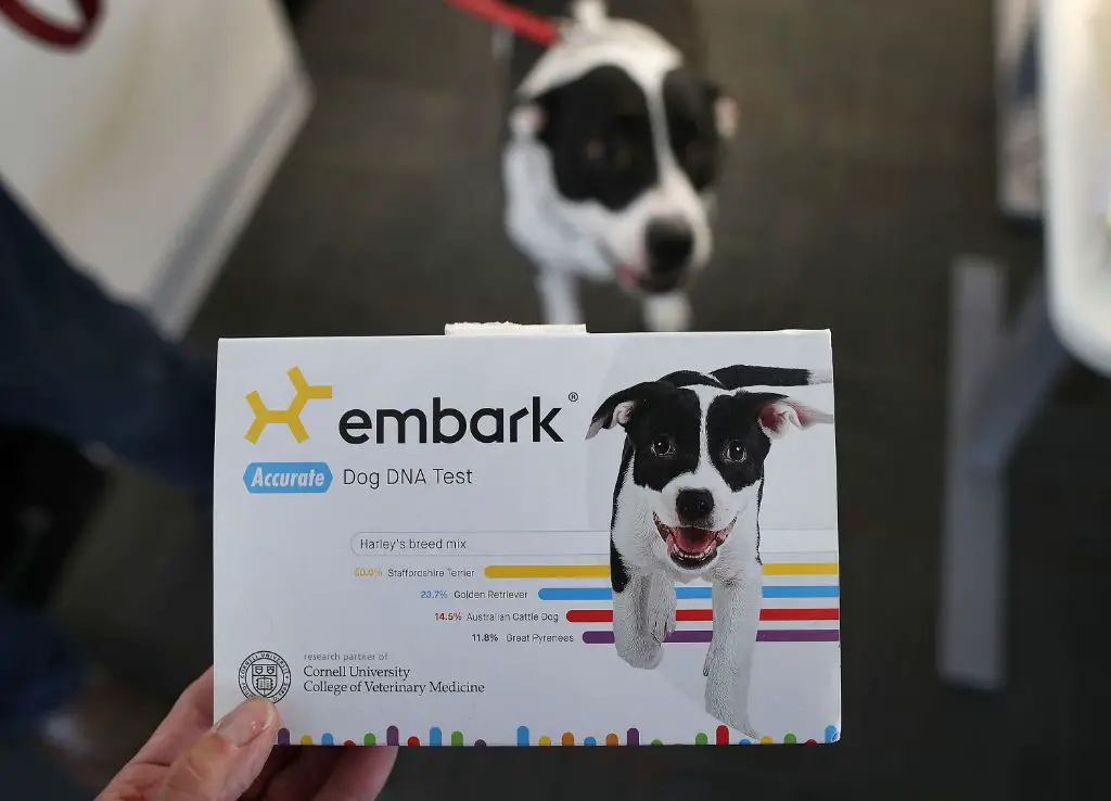 a happy dog owner receiving their dog's dna test results in the mail