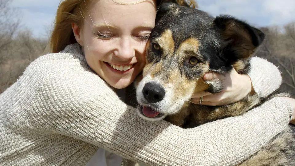 a happy person reunited with their lost mixed breed dog