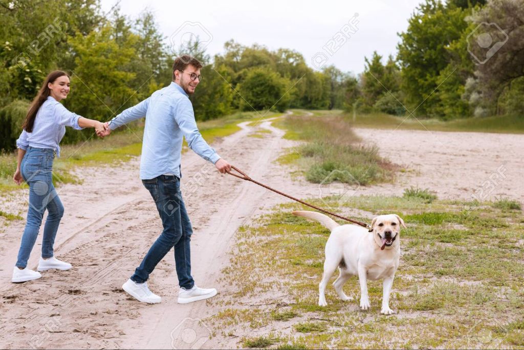 a happy person walking their dog on a leash.