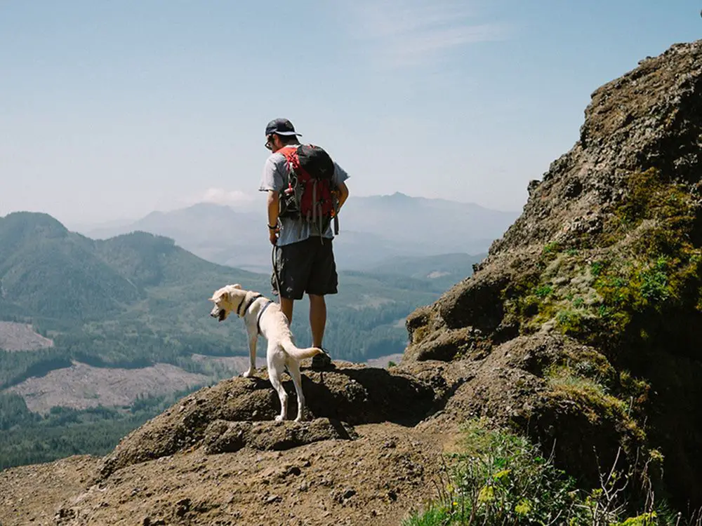 a hiker walking their dog on a mountain trail