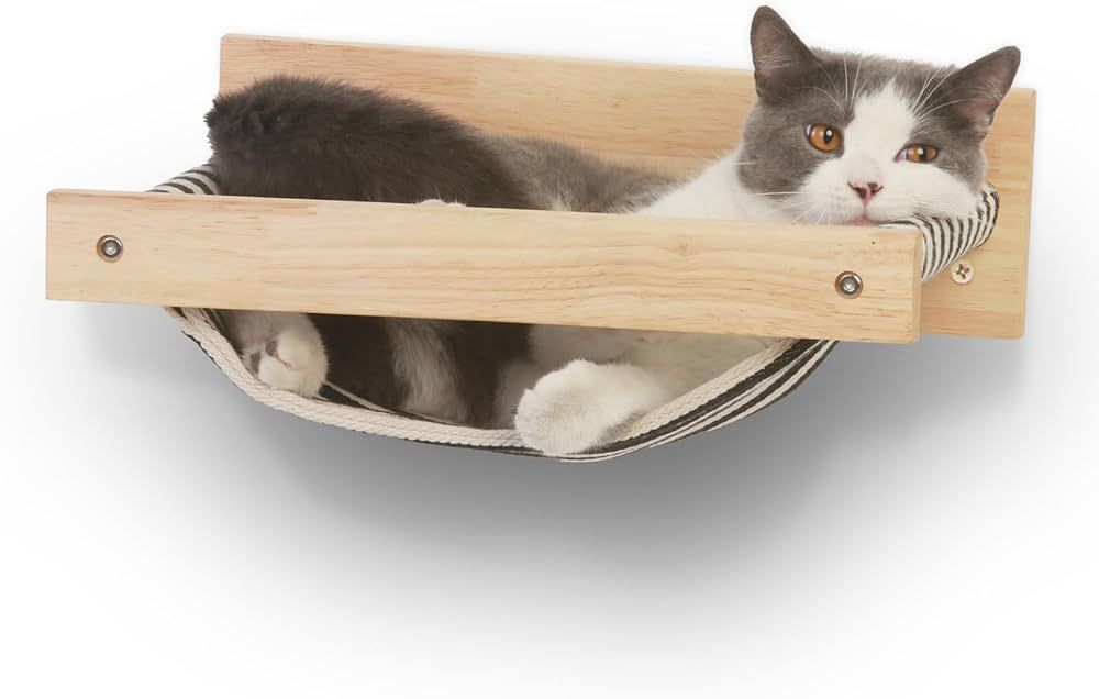 a kitten sleeping safely in a cat bed up on a shelf