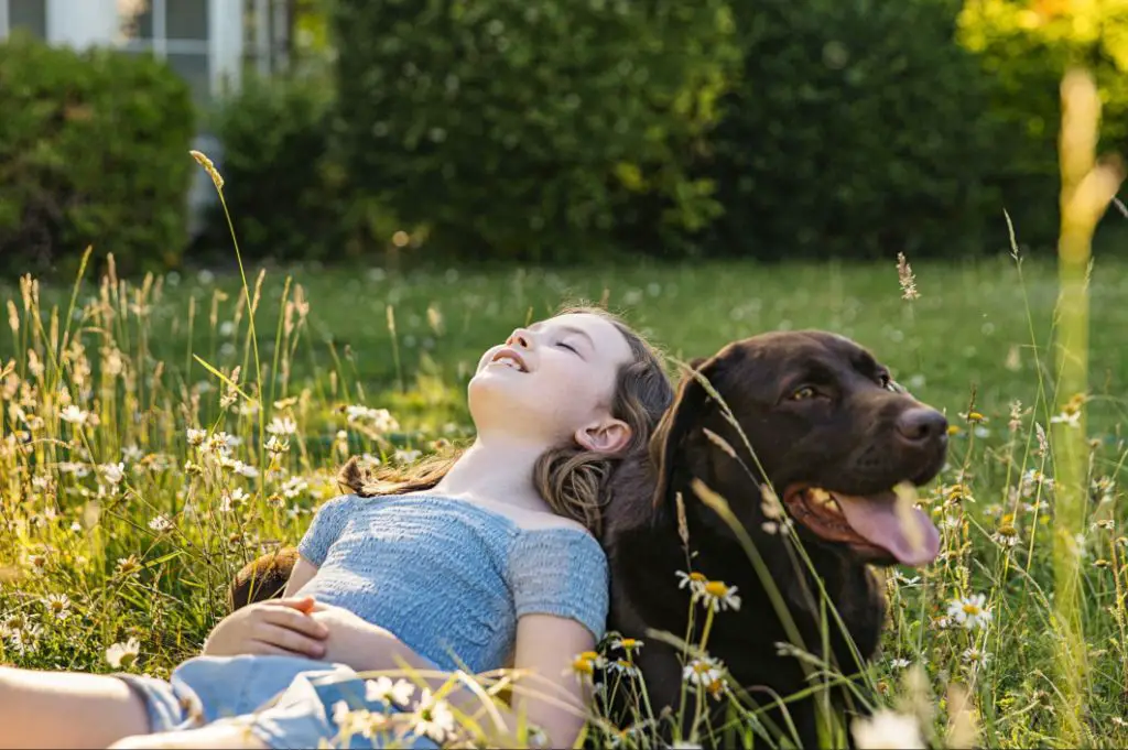 a loyal dog sitting next to its owner