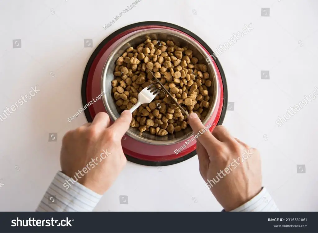 a man eating dog food from a bowl