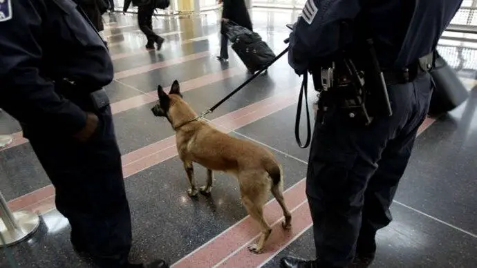 a man in handcuffs being escorted by police officers, symbolizing arrests and penalties for illegal dog fighting activities