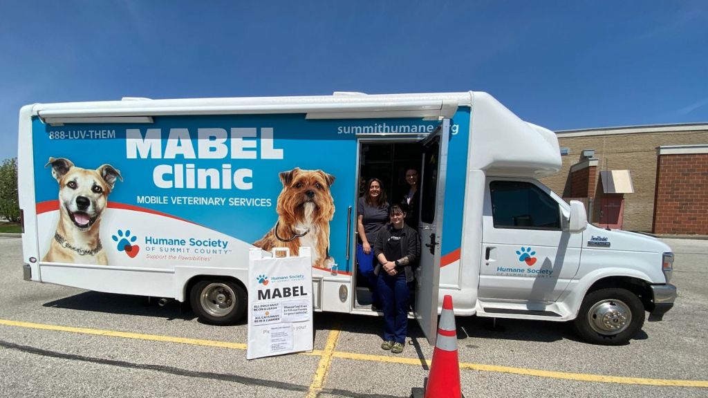 a mobile low-cost veterinary clinic