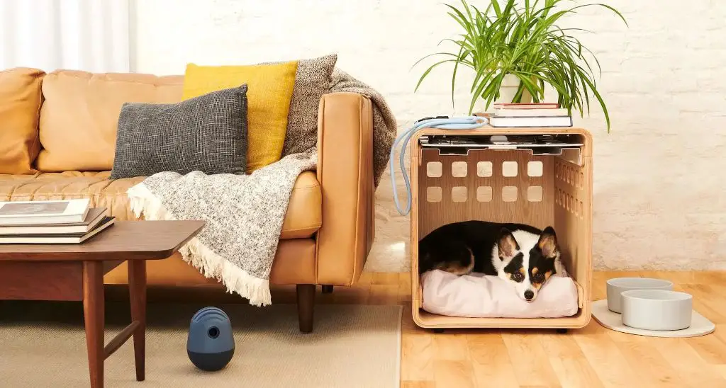 a modern wire crate with a soft bed and toys inside to create a cozy space