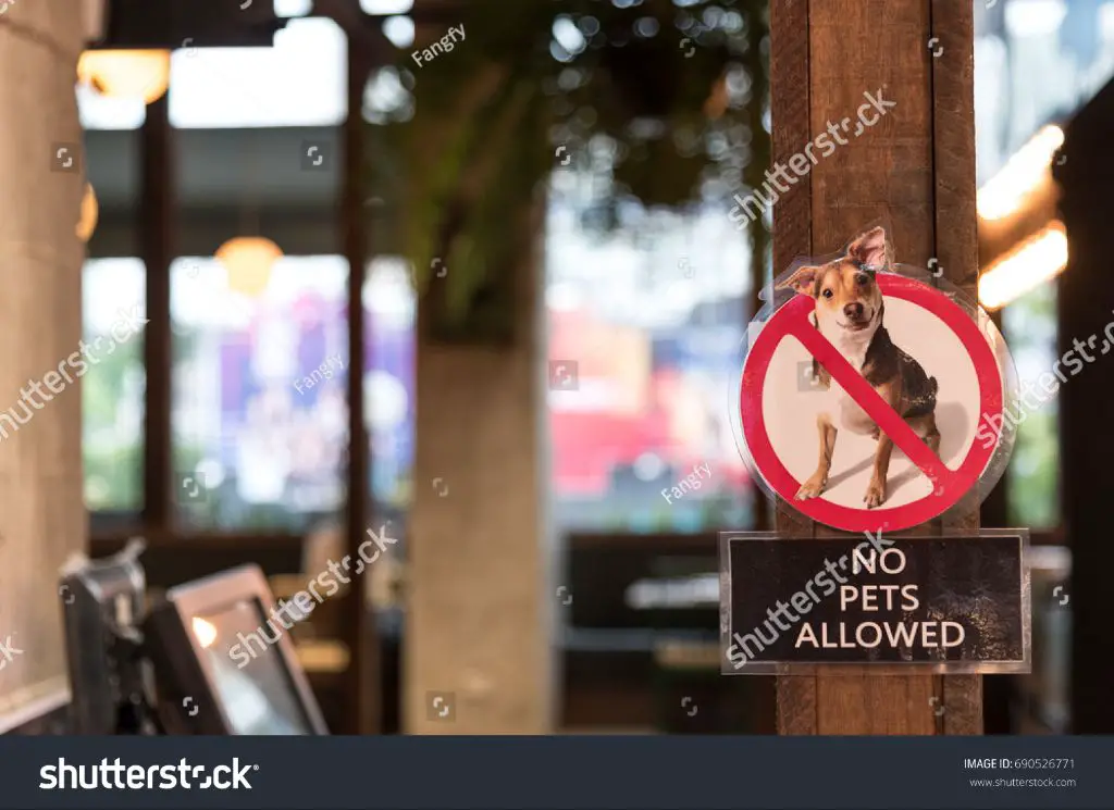 a 'no dogs allowed' sign displayed at the entrance of a restaurant