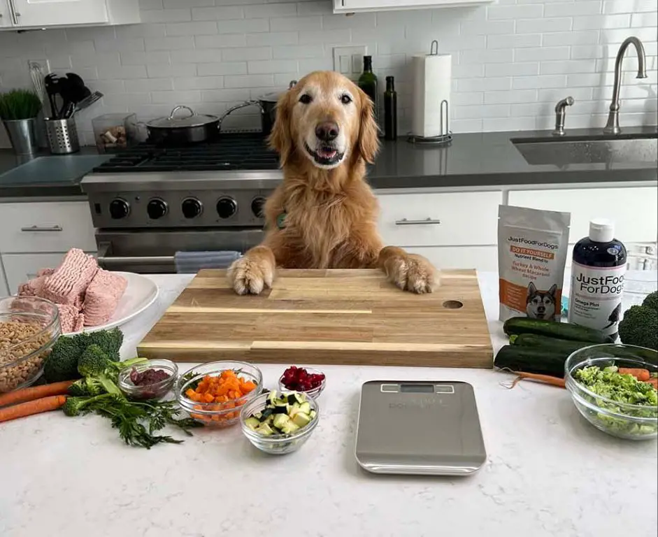 a person balancing job, family, and homemade dog food meal prep