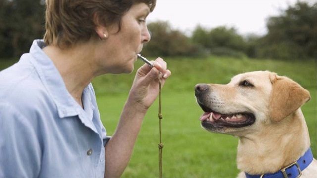 a person blowing a dog whistle