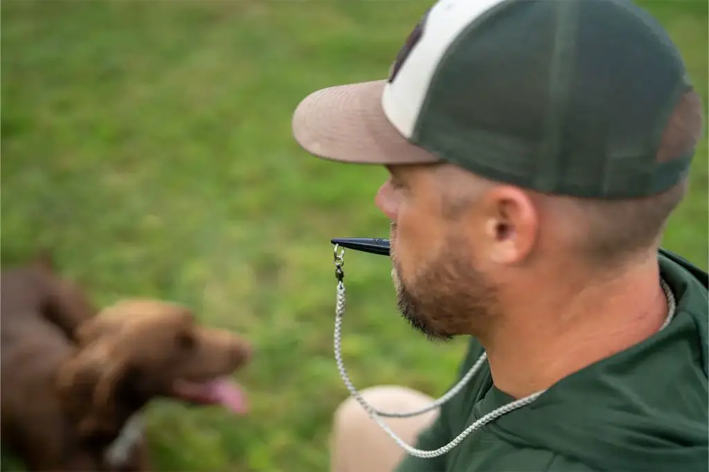 a person blowing a whistle while training a dog