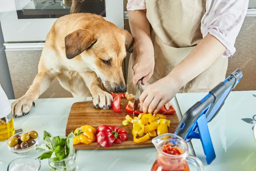 a person cooking homemade dog food